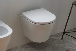 Water E Bidet Insieme.Water E Bidet Insieme Vasta Scelta Di Wc Con Funzione Bidet